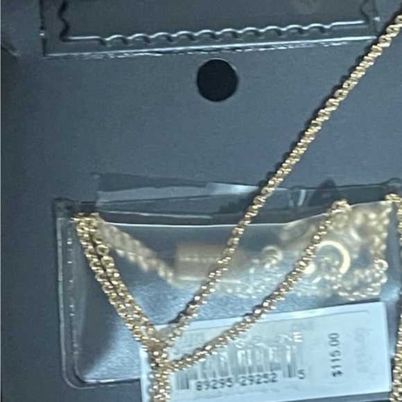 Coach Horse and Carriage Double Chain Necklace - Picture 3 of 3